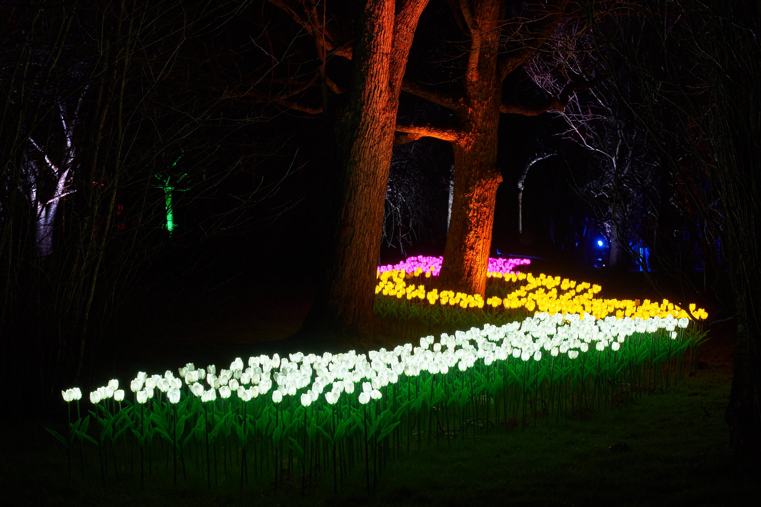 2024 02 23 Parkleuchten 0030